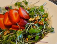 Strawberry Micro Green Salad