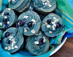 Blueberry Streusel Fitness Muffins